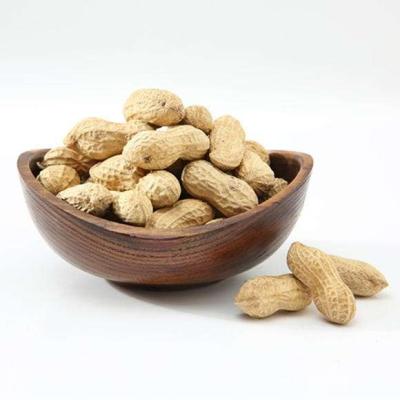 China Wholesale Milk Fragrance Low Salt Manufacturer Roasted Shelled Peanuts for sale