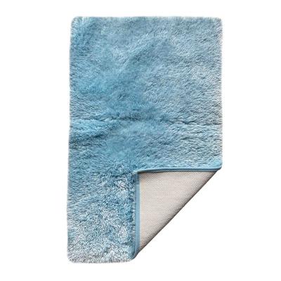 China Long lasting high quality comfortable home decor pilesofa bathroom rug for sale