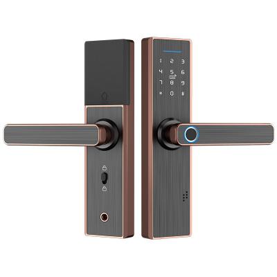 China Apartment best smart lock smart card password card smart door lock wifi hotel home lock for sale