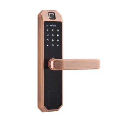 China Apartment new product wholesale price wifi BT app unlock use for home door locks electric smart wifi for sale