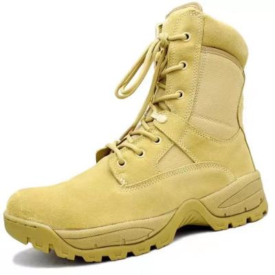 China Steel Toe Hiking Shoes For Men for sale