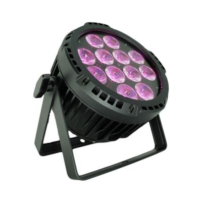 China Hot Selling China High Quality Theme Park Stage Light 12*18W Hot White Led Par Led Stage Light for sale