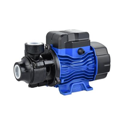 China Family Homes QB70 DKM High Lift Micro Water Pump For Clean Water for sale