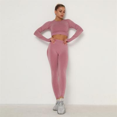 China Ladies 2021 Winter Warm Long Sleeve Yoga Suit Sports Wear Solid Color Jogging Women's Long Sleeve Sweatsuit for sale