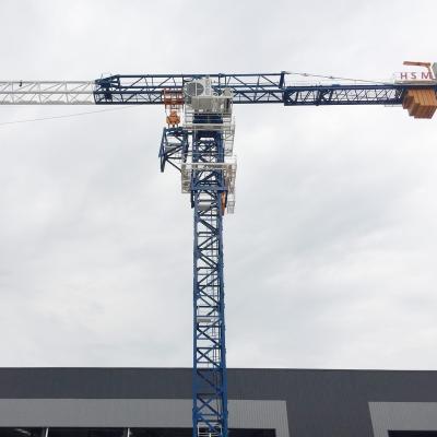 China Crane Factory Tower Crane QTP250 7525 Towercrane Tower Crane 2.5t Jib 75m Heavy Construction Tower Crane for sale