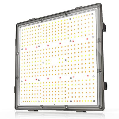 China Timming Longsun updated sf-2000 professional led to elevate light board full spectrum for indoor plants for sale