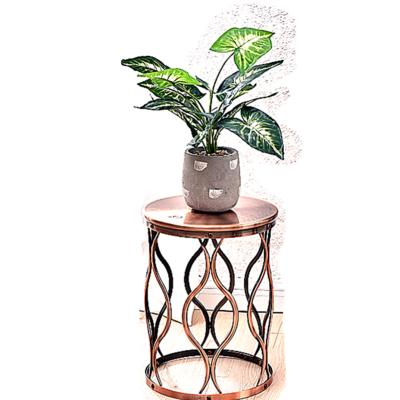 China Wholesale 1 Tier Good Quality Modern Flower Plant Stand Garden Color Powder Material Plant Stands for sale