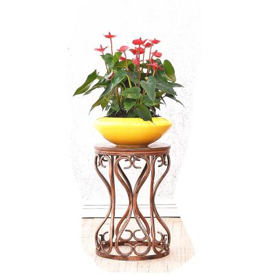 China Wholesale 1 Tier Good Quality Metal Flower Garden Item Stand Black Gold Color Material Material Plant Stand Racks for sale