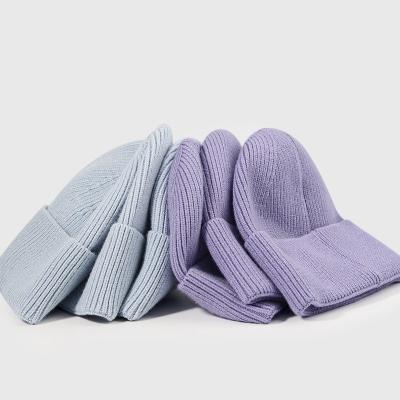 China Solid Color Logo Hats Winter Mens Beanie Women Warm Custom Made New Design COMMON Knitted Polyester Nylon Blend Knitted Hat for sale