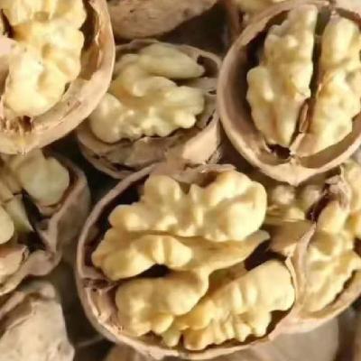 China Excellent quality China dry agricultural organic thin-lean walnut with shell in bulk wholesale for sale