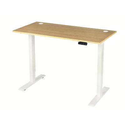 China Double Motor Position (Height) Adjustable Height Electric Standing Desk for sale