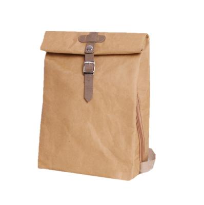 China Eco - Friendly Recyclable Brown Kraft Stock Style Washable Backpack for sale