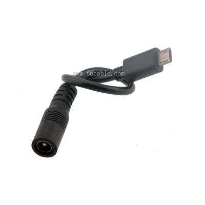 China Swallowtech Micro LED 5V B USB Male To Female DC Adapter DC Charger Power Cable 2.1Mm/2.5Mm, 6Inches, Black Or White for sale