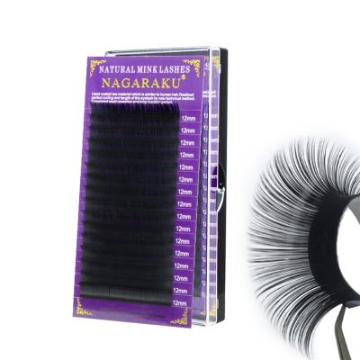 China High Quality Mink Eyelashes Dail Makeup Application Glue Volume Eyelash Adhesive Extension for sale