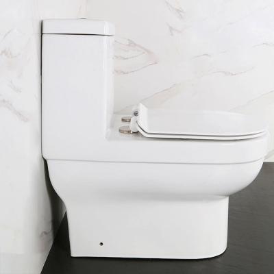 China Dual-Flush HILITE Hot Sale High Quality Bathroom Sanitary Ware Factory Price Back To Wall Rimless Bowl P-trap Wash Down Straight Toilets for sale