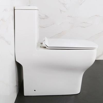 China Dual-Flush HILITE Inodoro S trap Siphonic Water Closet Bathroom Toilet Bowl  washdown one piece wc with dual flush Floor Mounted for sale