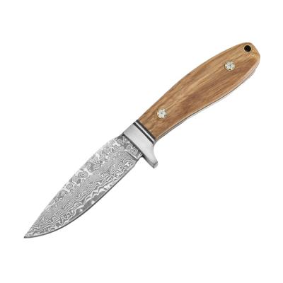 China Zebra Non-variable High Quality Wooden Handle Damascus Blade Camping Survival Steel Outdoor Hunting Knife for sale