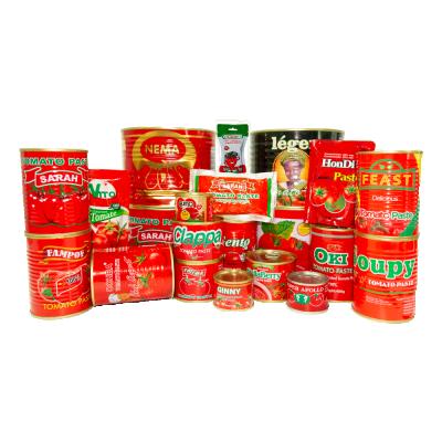 China canned tomato best per price 28-30% brix tomato sauce in different sizes with 210gx48tins/ctn china oem brand export for sale