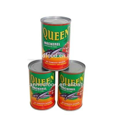 China Canned saurels importers in Africa in tomato sauce 155gX50tins for sale