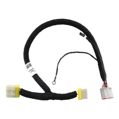 China Home Appliance OEM Car Door Wiring Connector Buchse Cable Assembly Truck Wire Harness for sale