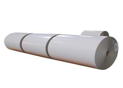 China ONE SIDE GREY BACK AND TWO SIDE COATED DUPLEX BOARD PAPER IN ROLL zu verkaufen