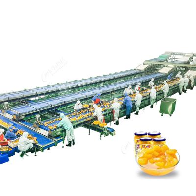 China Automatic stainless steel automatic fruit production pineapple canning food box canning production line machine for sale