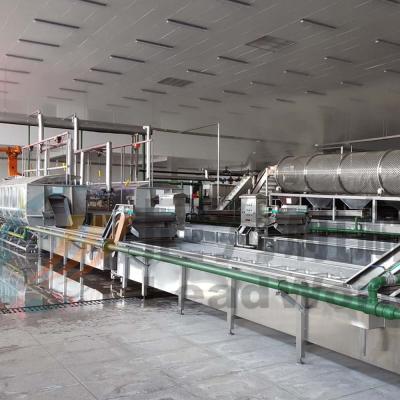 China High Efficiency Easy Operate Machine Process Machine Custom Mushroom Canning Mushroom Canning Production Line for sale