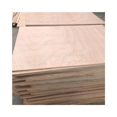 China Eucalyptus Wood Plywood Sheet 1220*2440mm Modern Construction Laminated Plywood for sale