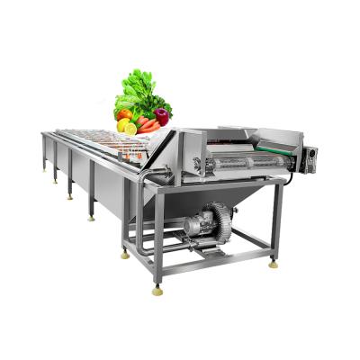 China Vegetable Hot Selling Air Bubble Fruits And Vegetables Stainless Steel Washing Cleaning Machine for sale