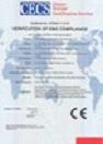 CECS - SINO AGE DEVELOPMENT TECHNOLOGY, LTD.