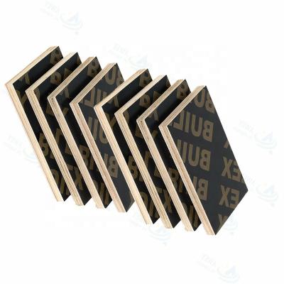 China 12mm 18mm Traditional Concrete Formwork System Plywood Shuttering Plywood Film Faced Plywood for sale