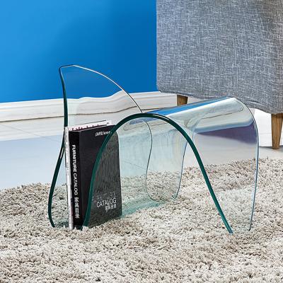 China Home Decoration Simple Curved Glass Magazine Rack (Other) Rack Adjustable for sale