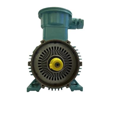 China 3 Phase 15hp 11kw Induction Motor Magnetic Brake Totally Enclosed Motor for sale