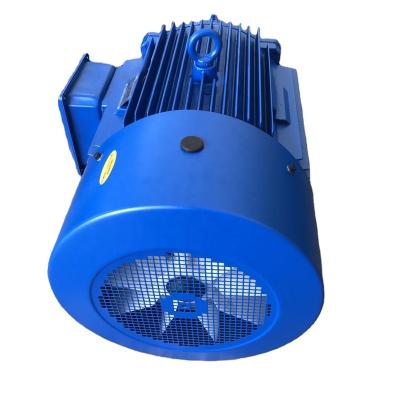 China YE3 IE3 series totally enclosed slow rotating motor for sale for sale