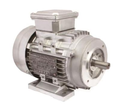 China Totally Enclosed AC Motor AC Induction Motor 380v AC Motor 0.25kw Three Phase 3 Phase for sale