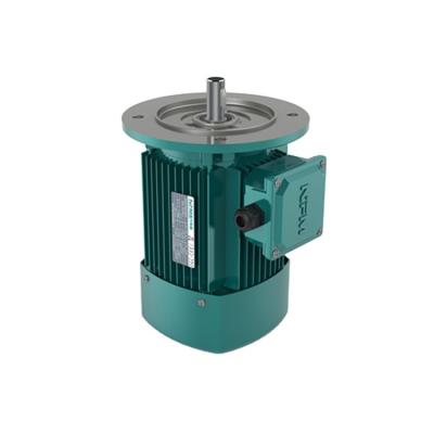 China Fully Enclosed IEC Standard 0.75KW 1 Hp Three Phase Induction Motor for sale