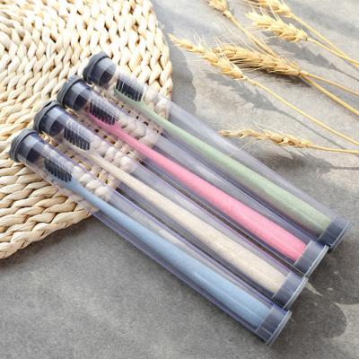 China CE Certified Eco-Friendly Candy Color Toothbrush Buy From China Factory Directly for sale