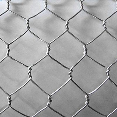 China High Quality Corrosion Resistance Galvanized Hexagonal Wire Mesh Roll Used For Chicken Farm for sale