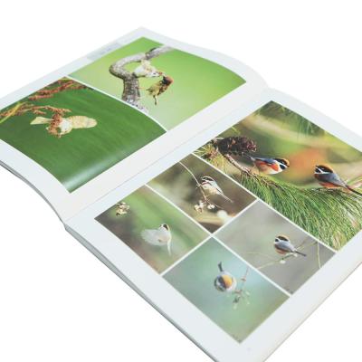 China paper & Custom Full Color Cardboard Softcover Book Printing Birds Photo Album Book for sale