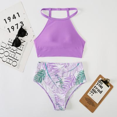 China Custom Logo Color Swimsuit Private Label Printing Plus Size Girls Swimwear Bikinis Two Piece Bikini Set For Adult for sale