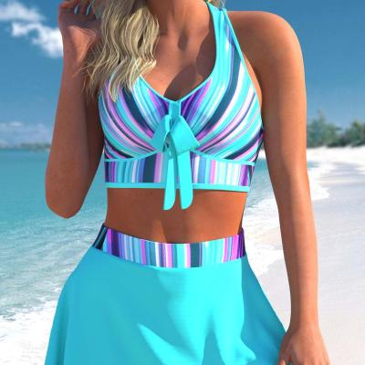 China Custom Made Plus Size LOGO Sexy Blank Classic Multiple Colors Women Bathing Backless Two Piece Swimsuit for sale