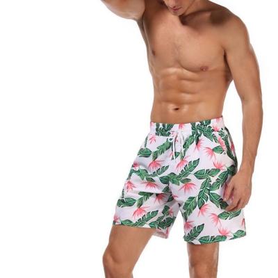 China The most popular breathable beach breathable shorts for men quick dry shorts for men beach for sale