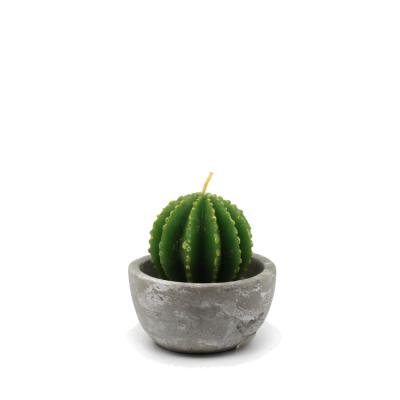 China Holiday Joys Home 2021 New Cement Factory Made Oval Mugs With Wax Cut Cactus Mug for sale