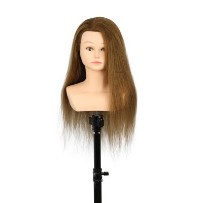 China Hair Cut 100% New Salon 2021 Wholesale Dummy Hair Mannequin Head Hair Training Dummy Head With Hair for sale