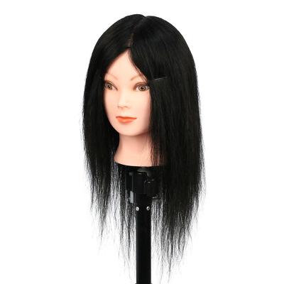 China Hair Cut Hairdressing Head 100 Hair Afro Training Manikin Master Training Head for sale