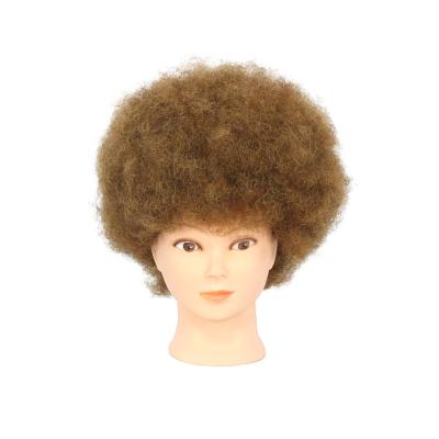 China Hair training head cosmetology training manikin directs 100 percent hair training head hair eyelashes training head human for sale