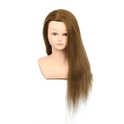 China Hair Head Boutique Mannequin Training Head With Hair Fir Training Manniquin Heads Silky Hair Training Head With Shoulder for sale