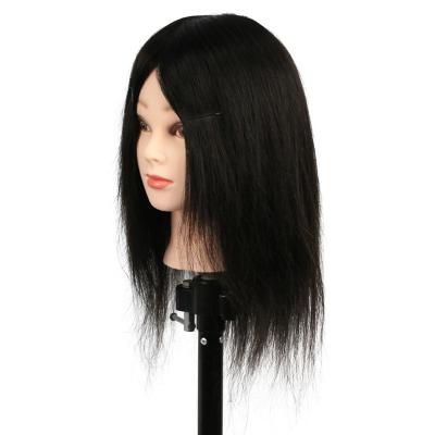 China Hair Cut Wholesale Hair Training Head Hairstyles Teaching Master Hairdresser Training Model For Hairdressers Wig Mannequin Head for sale