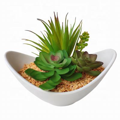 China Realistic Hot Sale Home Decor Plastic Plant Succulent Dish for sale