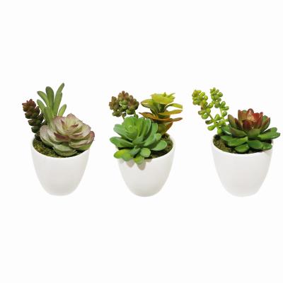 China Factory hot sale home decor realistic handcrafted plastic succulent plant for sale